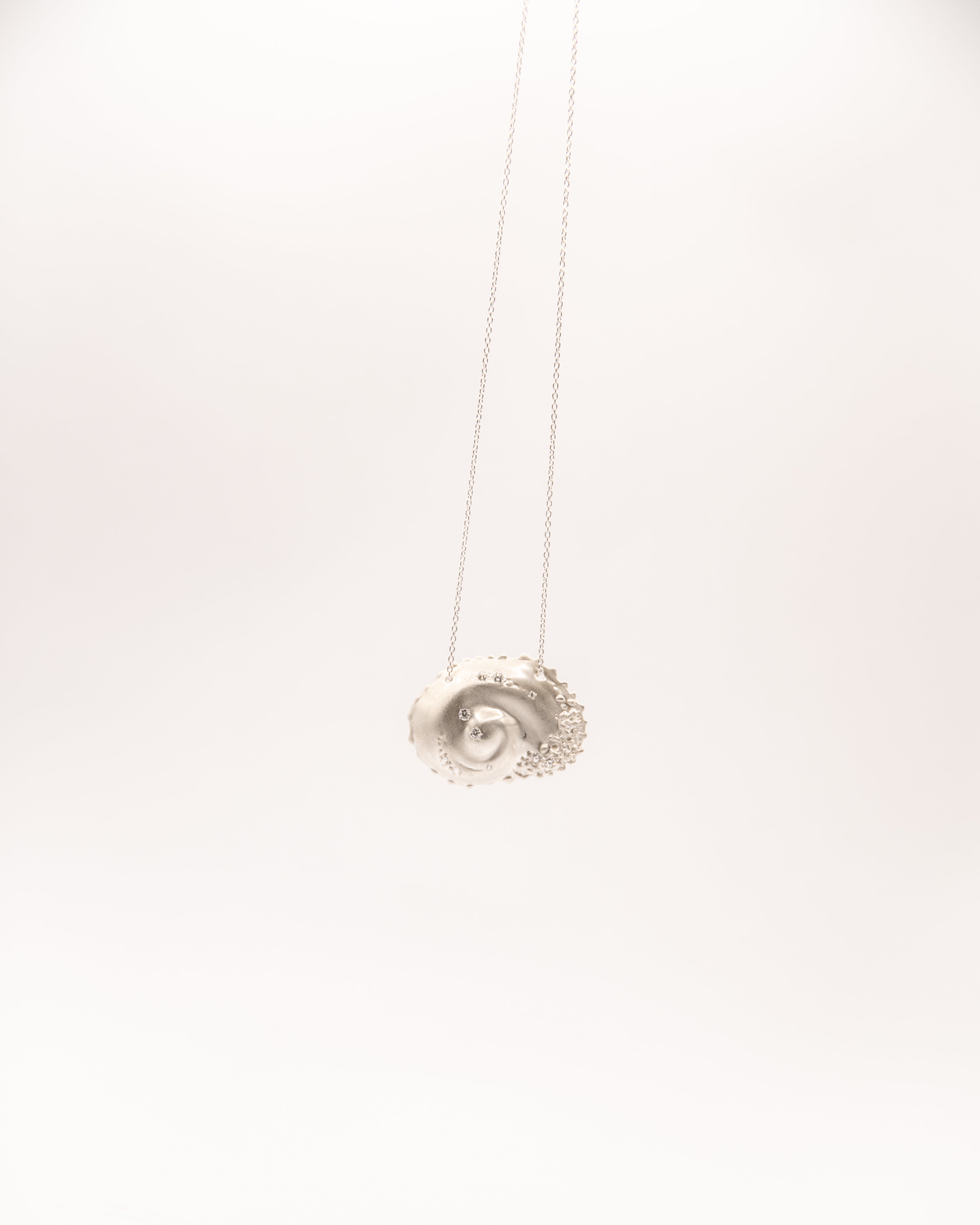 shell spiral