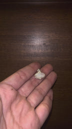 Rainbow Drop